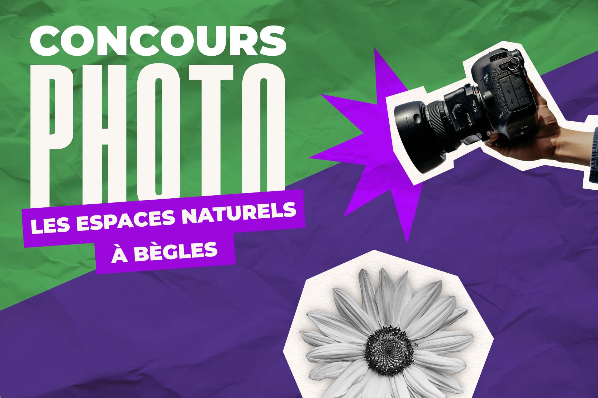 Image média: Votez pour choisir la photo gagnante du concours Nature !